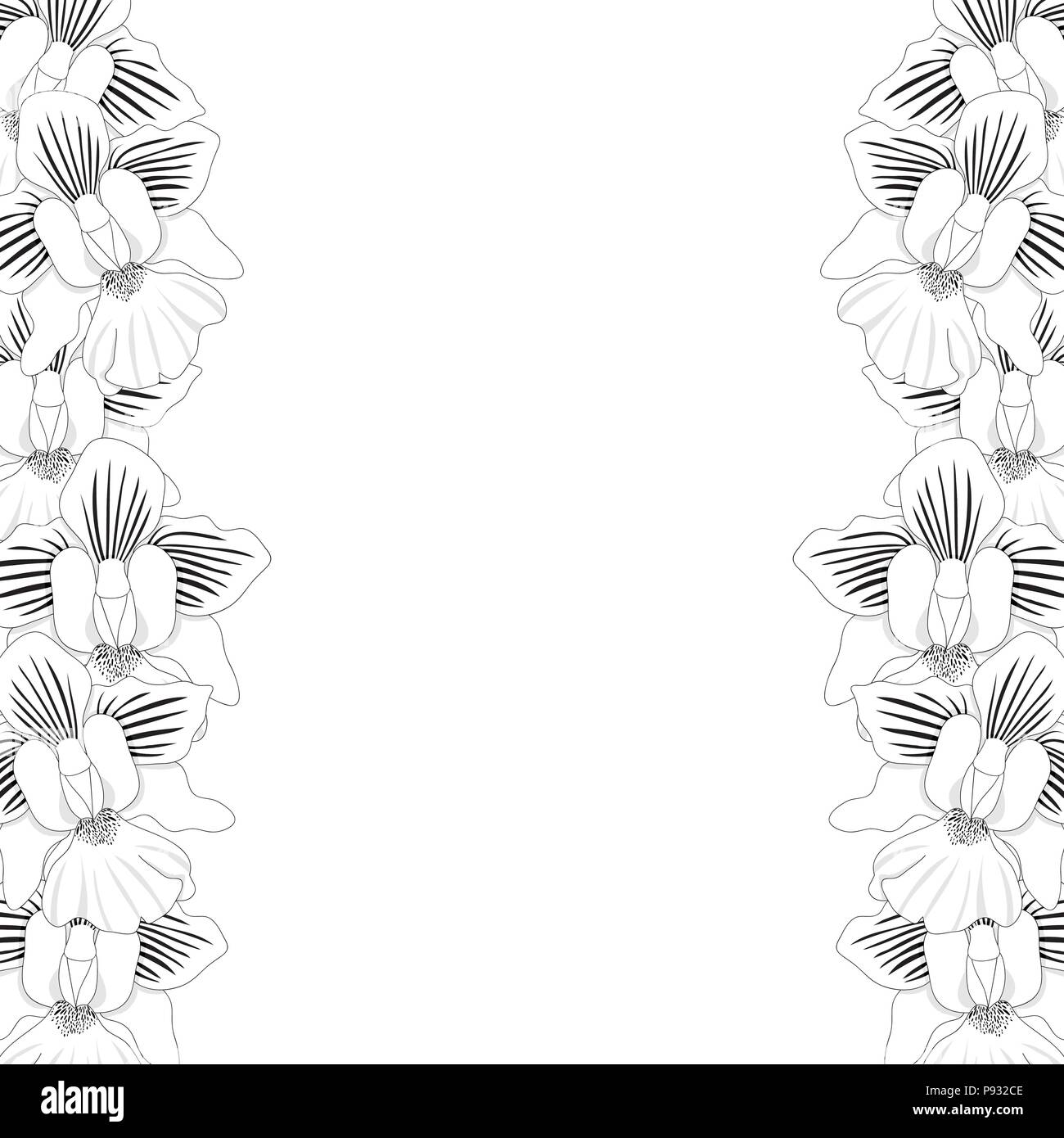 Vanda Miss Joaquim Orchid Umreißrand isoliert auf weißem Hintergrund. Vector Illustration. Singapur nationale Blume. Stock Vektor