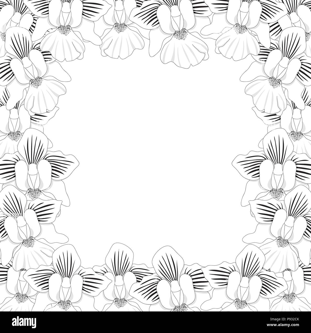 Vanda Miss Joaquim Orchid Umreißrand isoliert auf weißem Hintergrund. Vector Illustration. Singapur nationale Blume. Stock Vektor