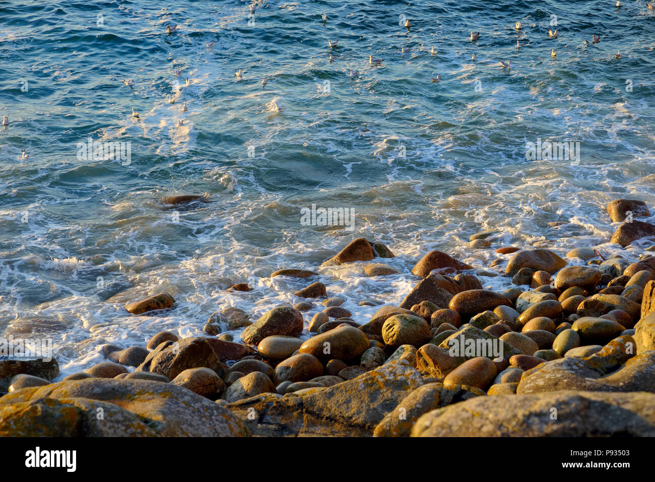 Riesige Wellen brechen auf einem felsigen Strand über Porth Nanven im Babybett Tal von Cornwall, England Stockfoto