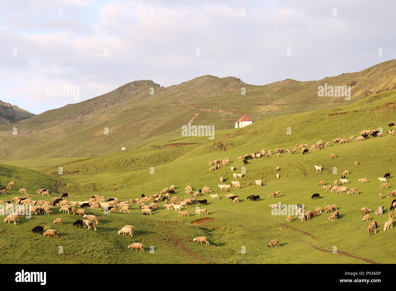 Schönen Berge des Himalaja wie bei Roopkund Trek in Uttarakhand gesehen Stockfoto