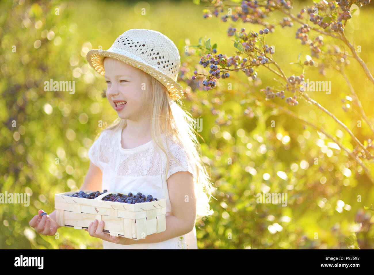 Süße kleine Mädchen pflücken frische Beeren auf organische blueberry Bauernhof auf warmen und sonnigen Sommer. Frische, gesunde Bio-Lebensmittel für kleine Kinder. Stockfoto