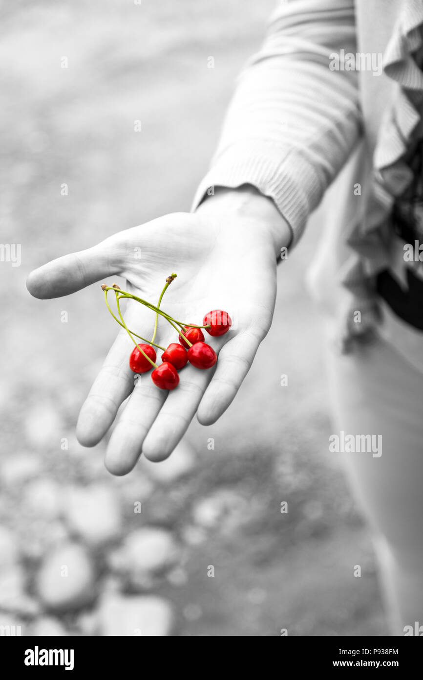 Junge Frau Kirschen Holding in ihrer Handfläche. Schwarzweiß-Effekt mit roten Kirschen. Stockfoto