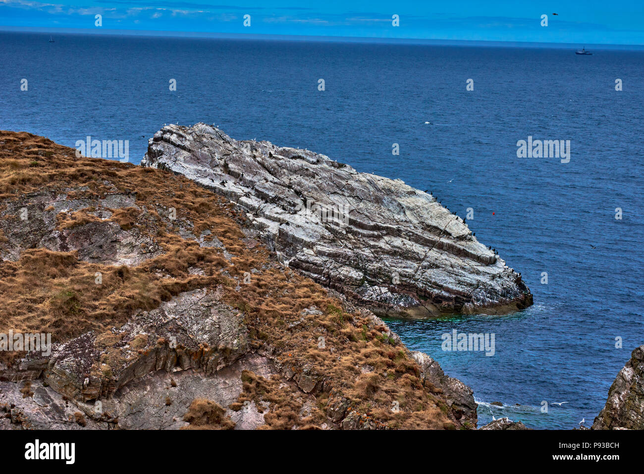 Bogen Geige Rock (SC18) Stockfoto