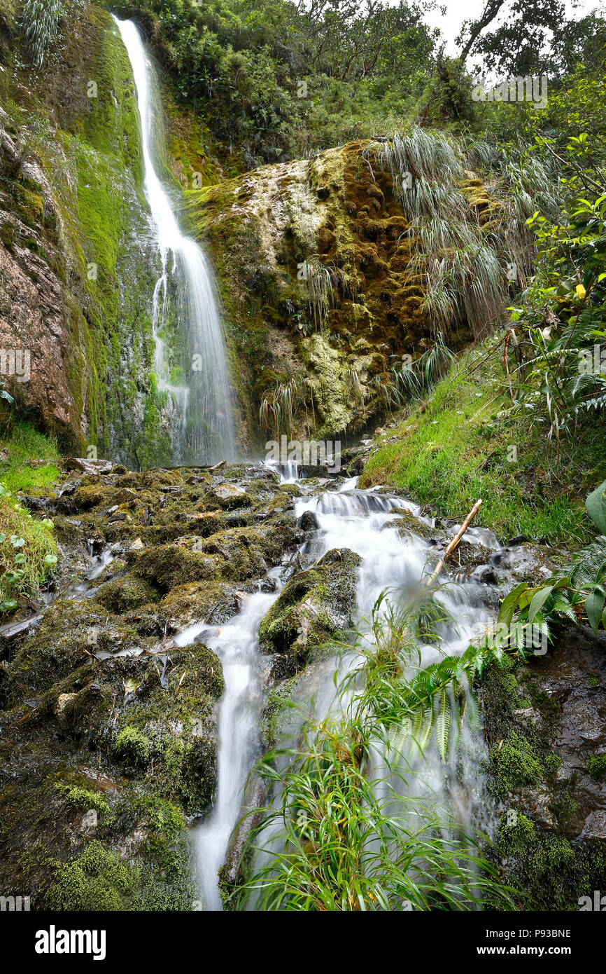 Wasserfall im Wald in Santo Domingo de Acobamba Stockfoto