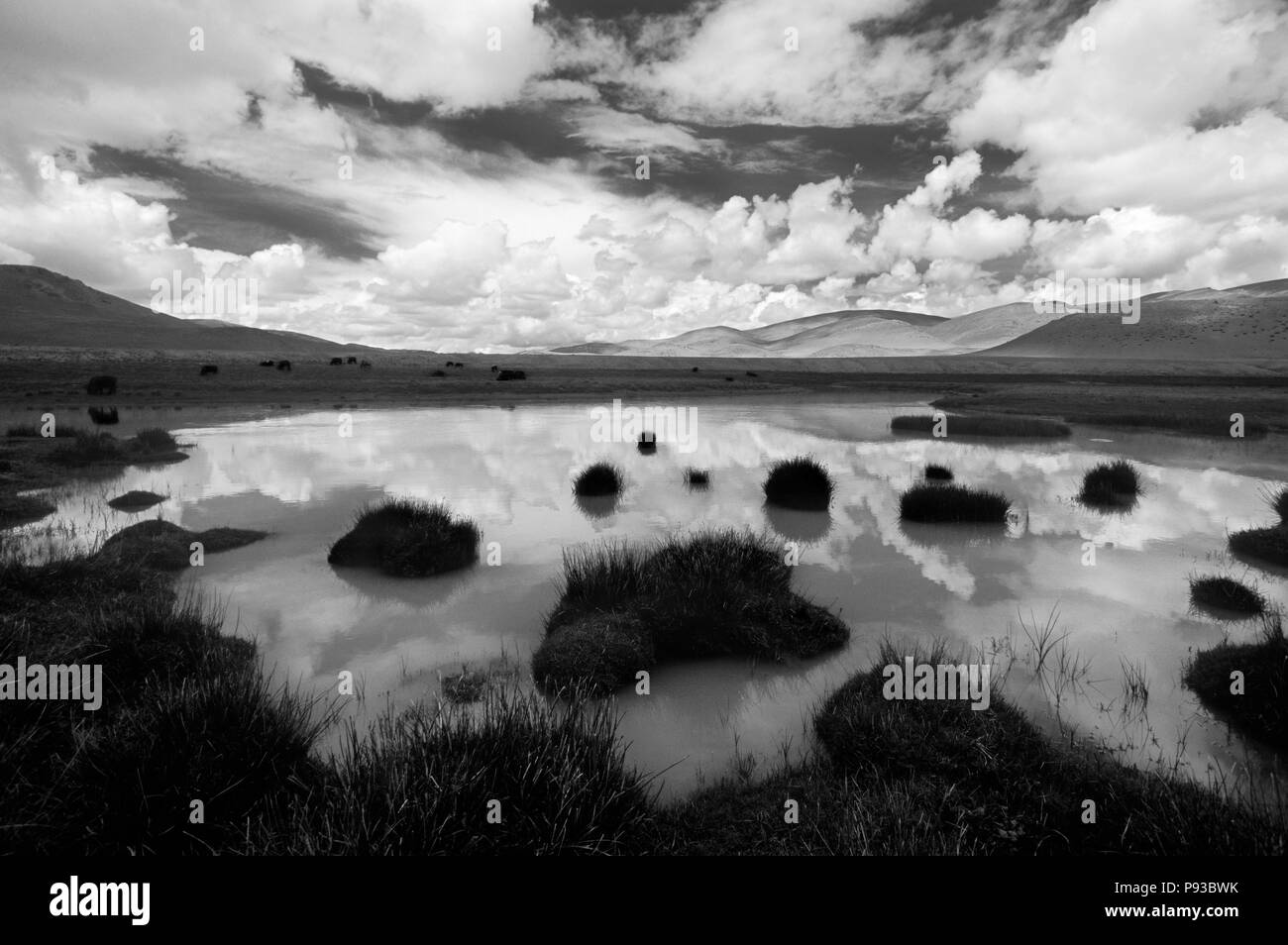 Wolken spiegeln sich in Stream als YAKS auf dem tibetischen Plateau Weiden - südliche Route zu Mount Kailash, Tibet Stockfoto