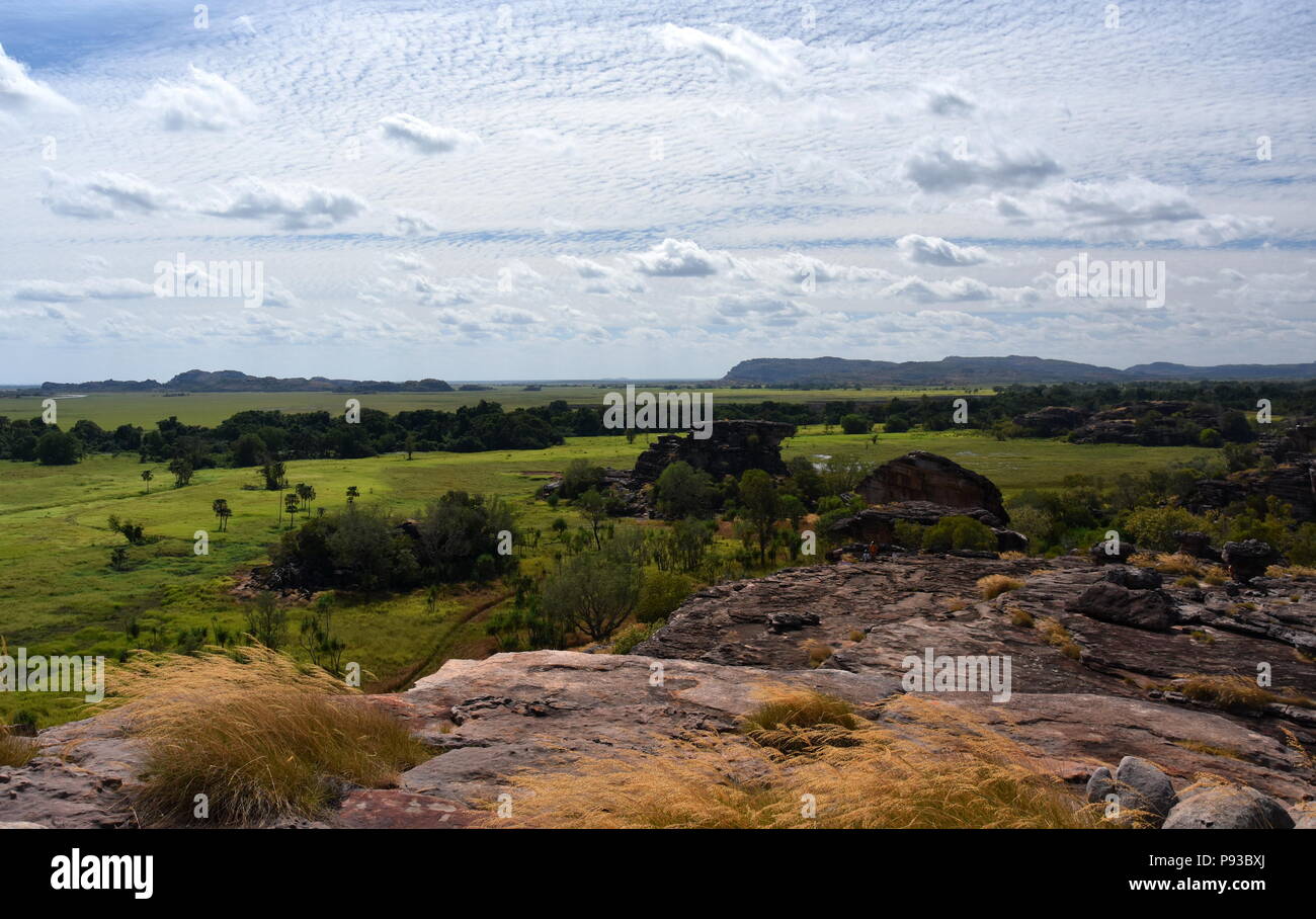 Ubirr Art Site und Aussichtsturm. Landschaft der Kakadu National Park am Ubirr. Ubirr East Alligator Region Kakadu Nationalpark im nördlichen Territ Stockfoto