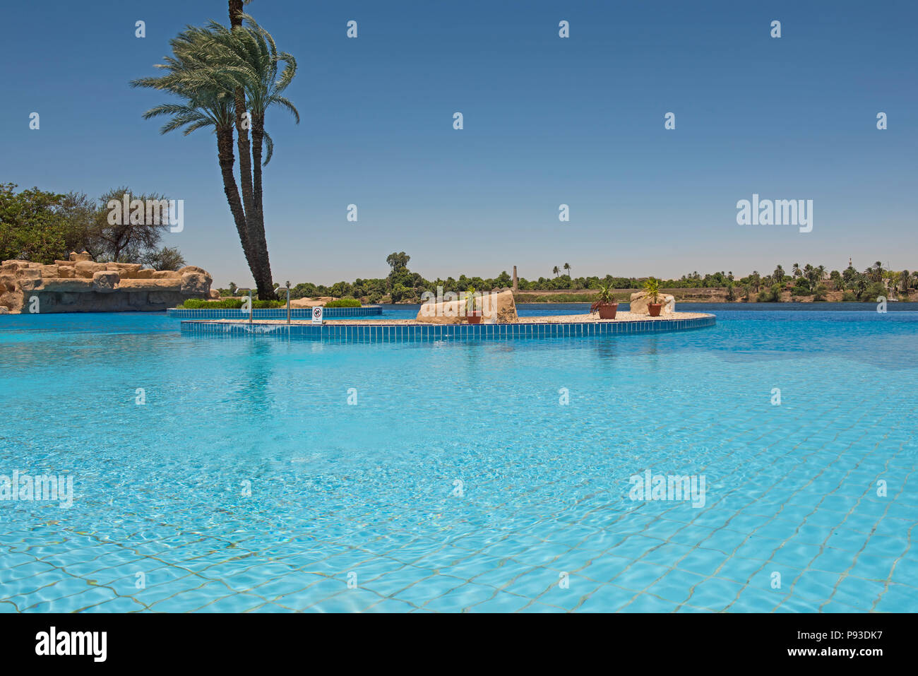 Hohe große Datum Palme Phoenix dactylifera in Infinity Pool im tropischen Luxus Hotel Resort Stockfoto