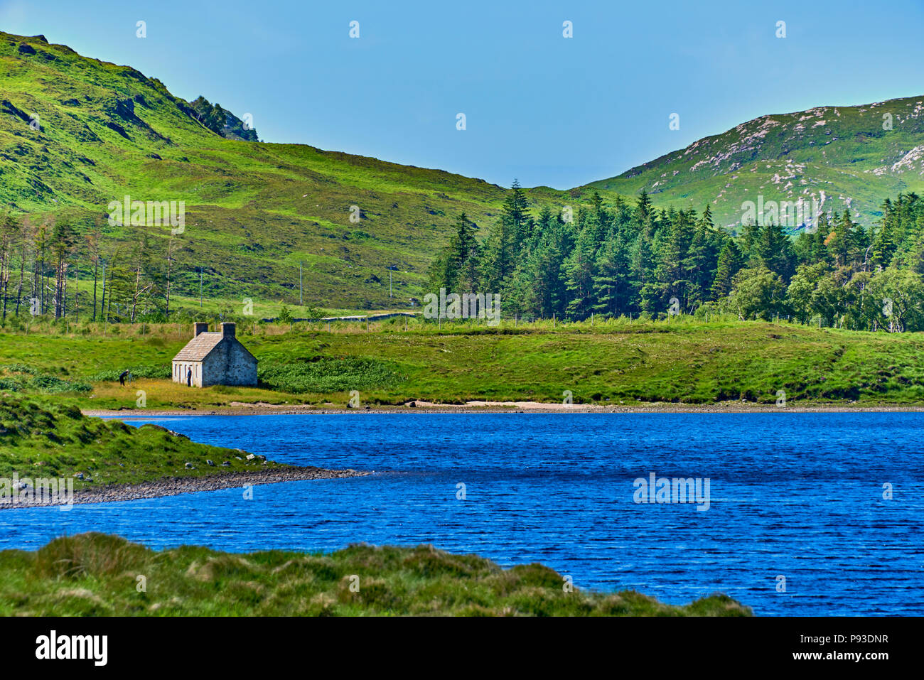 Die Schottischen Highlands (SC18) Stockfoto