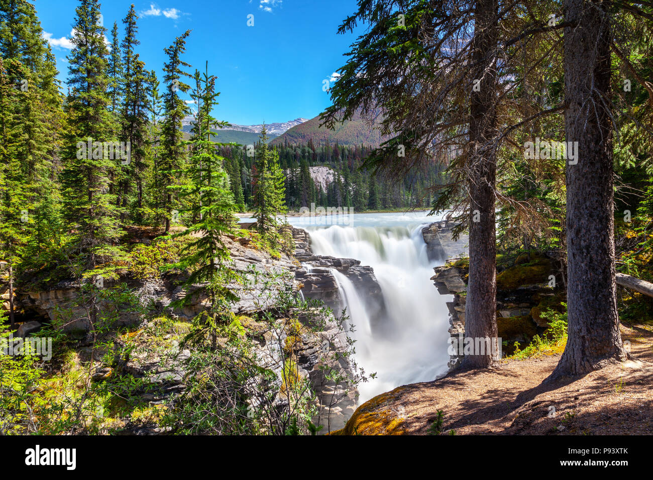 Athabasca Falls im Jasper Nationalpark auf dem Icefields Parkway in Alberta, Kanada. Eine Klasse 5 Wasserfall, es ist die mächtigste Wasserfall im Können Stockfoto