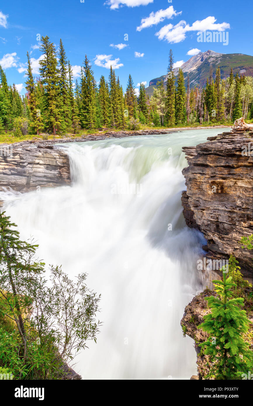 Athabasca Falls im Jasper Nationalpark auf dem Icefields Parkway in Alberta, Kanada. Eine Klasse 5 Wasserfall, es ist die mächtigste Wasserfall im Können Stockfoto