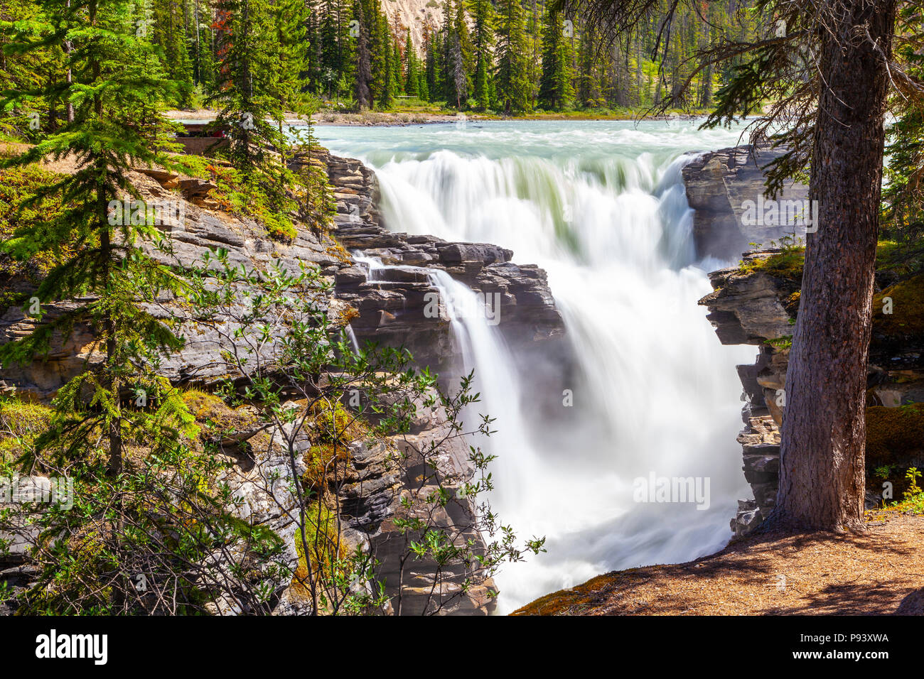 Athabasca Falls im Jasper Nationalpark auf dem Icefields Parkway in Alberta, Kanada. Eine Klasse 5 Wasserfall, es ist die mächtigste Wasserfall im Können Stockfoto