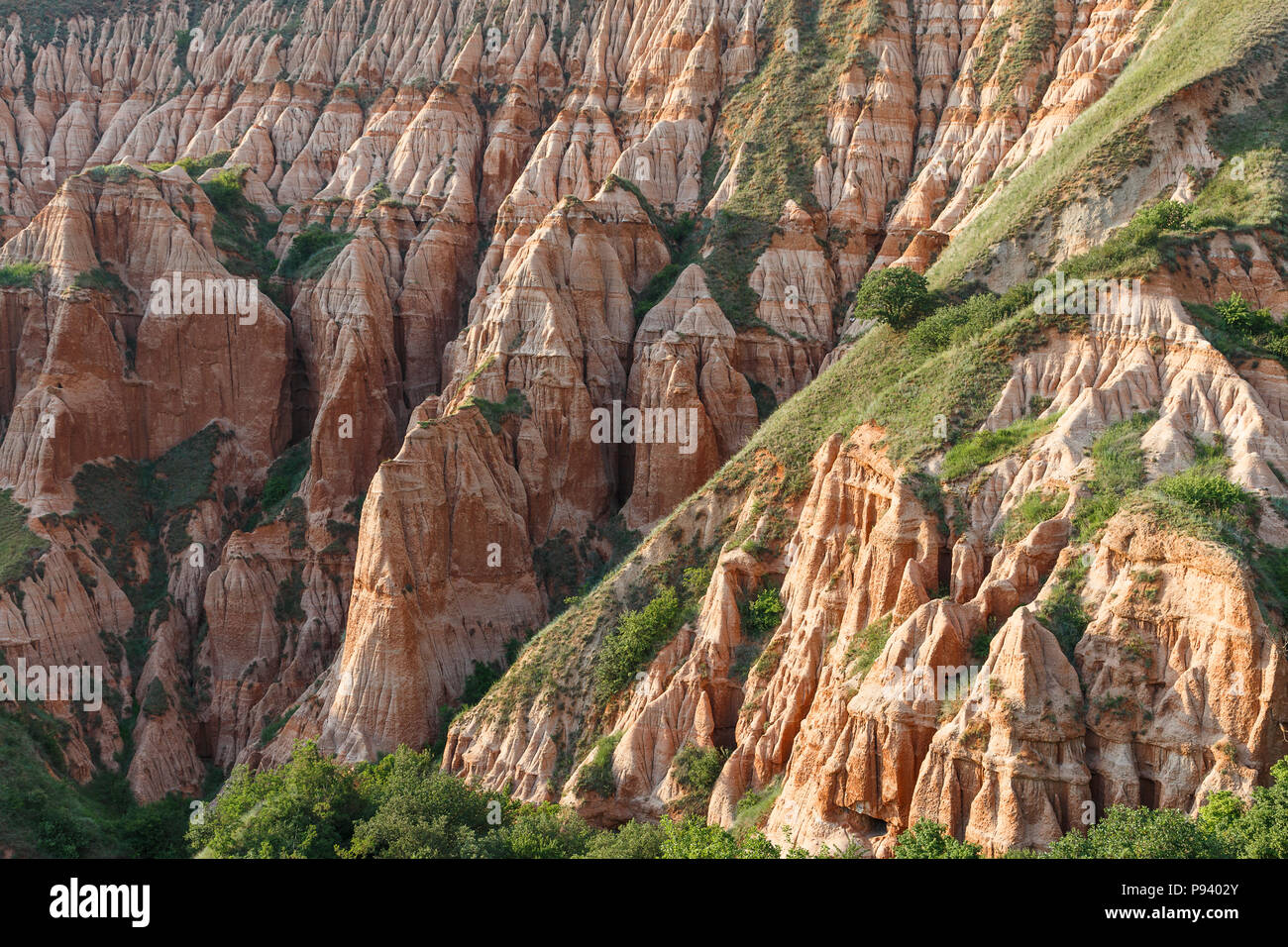 Rote Schlucht geschützten Bereich und einem natürlichen Monument, einer geologischen und botanischen finden in Rumänien Stockfoto