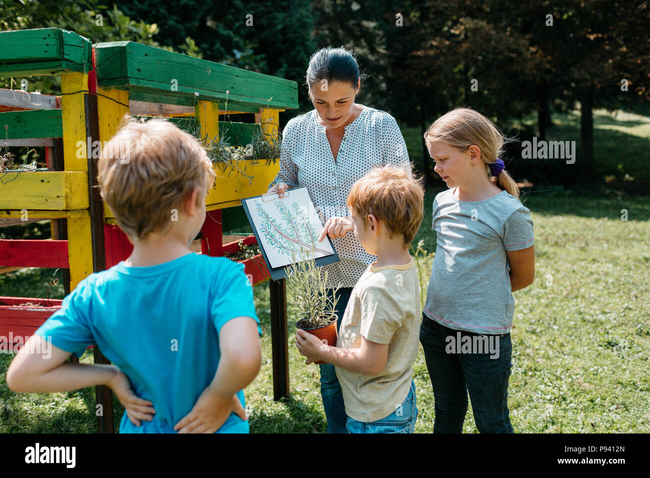 Lehrer sprechen über Pflanzen mit einer kleinen Gruppe von elementaren Studenten. Outdoor lernen - Kinder Diskussion mit einem Lehrer. Stockfoto