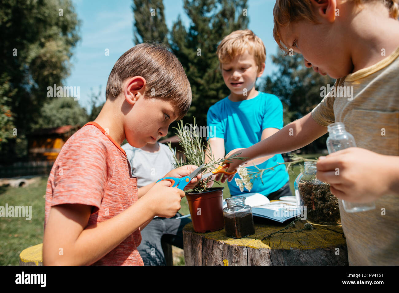 Primäre Studenten erkunden Kräuter und Pflanzen in einer Schule Garten. Kinder zusammen lernen bei einer naturwissenschaftlichen Klasse. Stockfoto