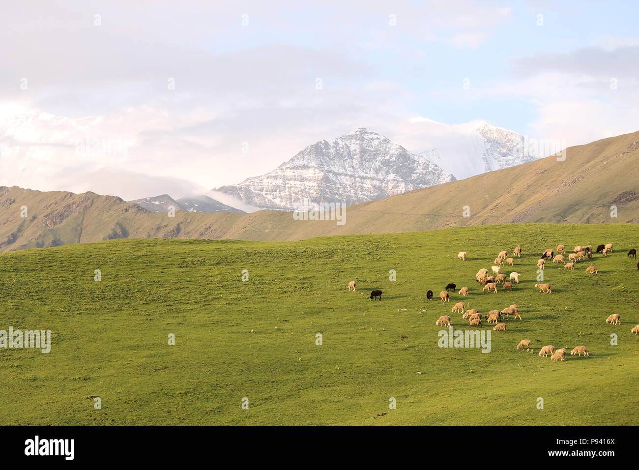 Roopkund Trekking durch die Berge des Himalaja Stockfoto