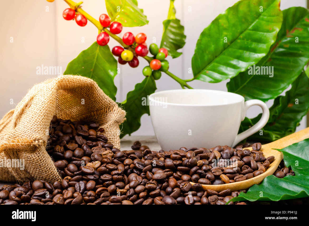 Close up Braun gerösteten Kaffeebohnen mit rote reife Kaffeekirschen und Blätter Stockfoto