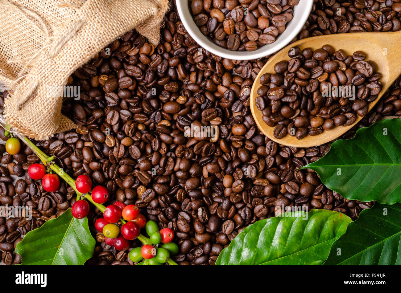 Ansicht von oben Braun gerösteten Kaffeebohnen mit rote reife Kaffeekirschen und Blätter Stockfoto