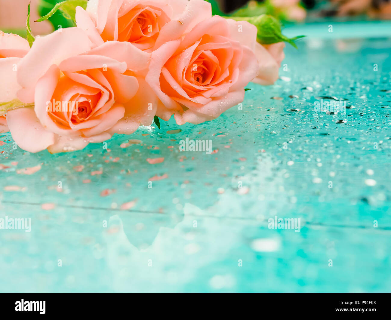Zarte Rosen Auf Einem Blauen Hintergrund Mit Regentropfen Das Konzept Der Romantik Und Leichtigkeit Stockfotografie Alamy
