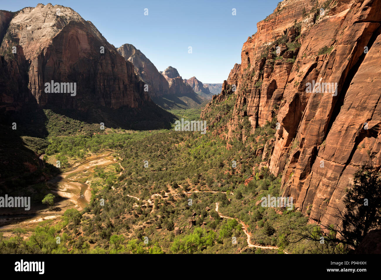 UT 00455-00... UTAH - Zion Canyon aus dem West Rim/Angels Landing Trail im Zion National Park. Stockfoto