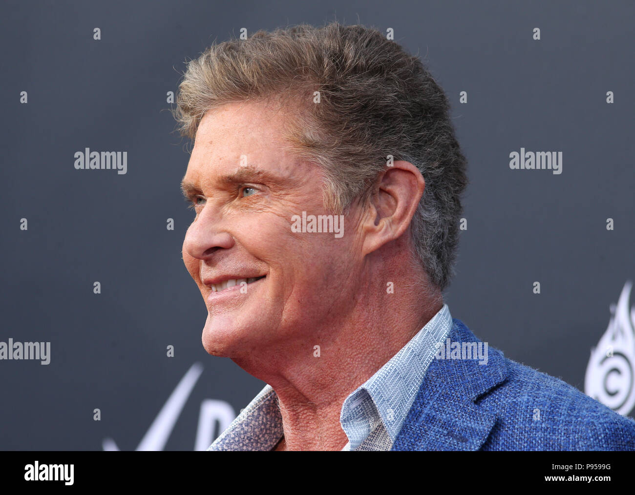 Hollywood, Ca. 14. Juli 2018. David Hasselhoff, bei Comedy Central Roast von Bruce Willis im Hollywood Palladium in Hollywood, Kalifornien am 14. Juli 2018. Credit: Faye Sadou/Medien Punch/Alamy leben Nachrichten Stockfoto