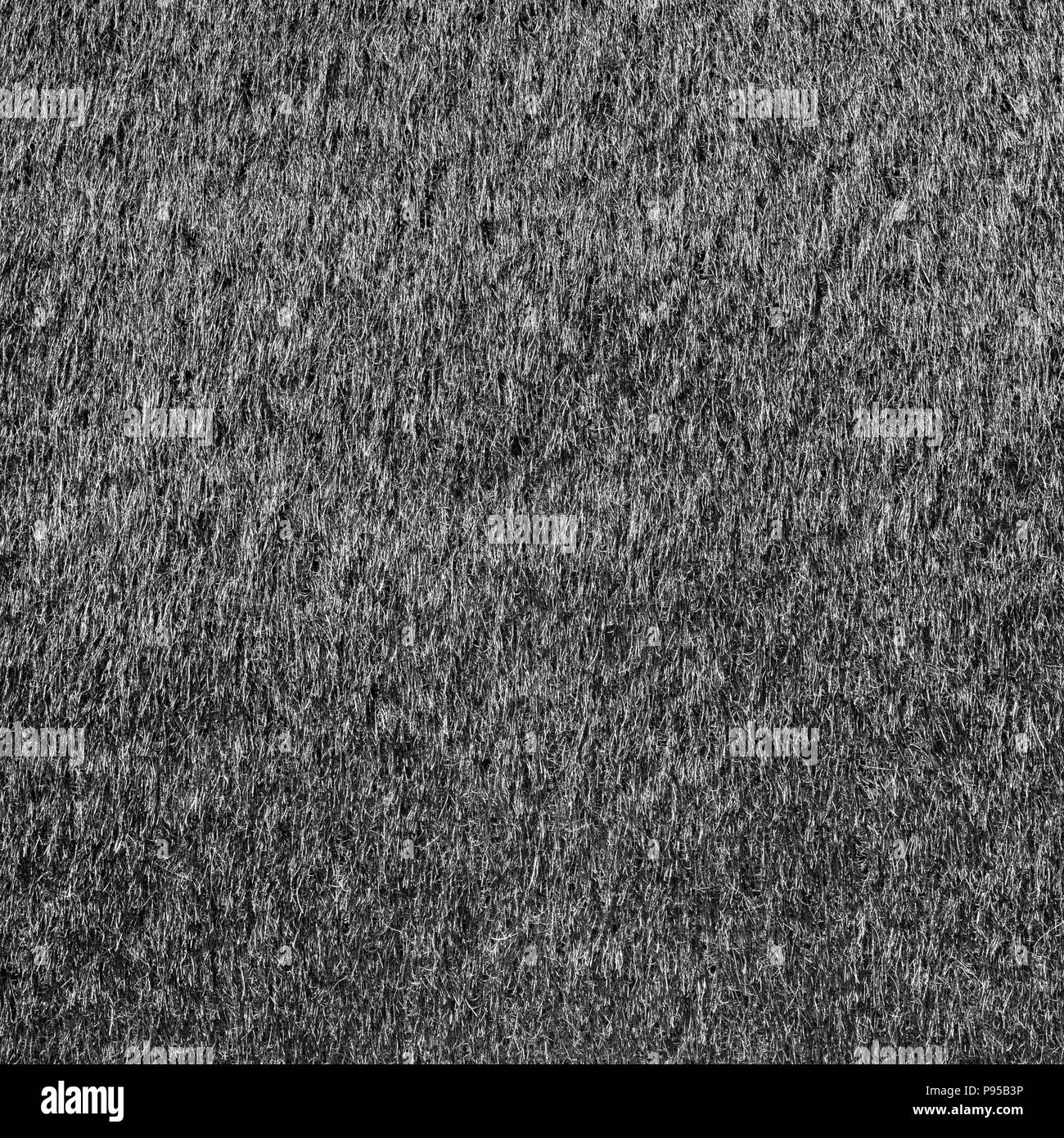 Grauen pelz Textur closeup Stockfoto