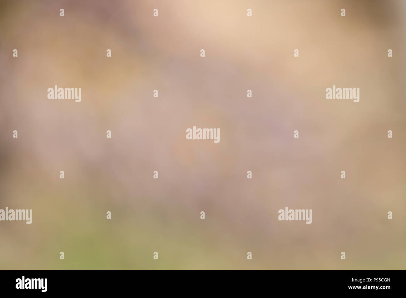 Naturen Farben defokussierten für den Einsatz einer Hintergrund- oder Hintergrund. Stockfoto