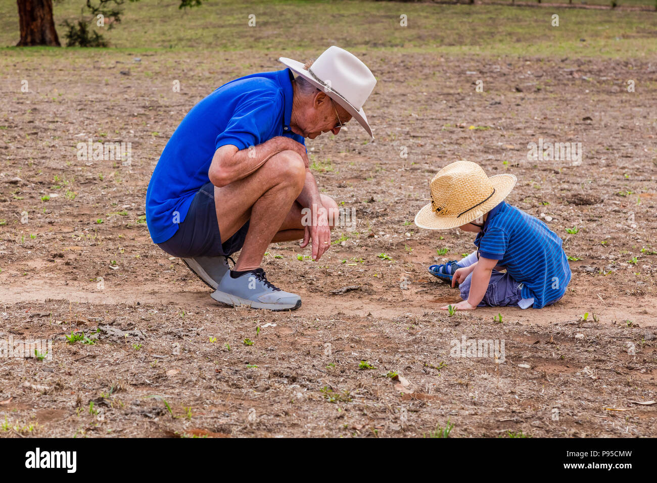 Kleinen Jungen und seinem Großvater, an einer Ameisen' Nest suchen, in der oberen Hunter Valley, NSW, Australien. Stockfoto