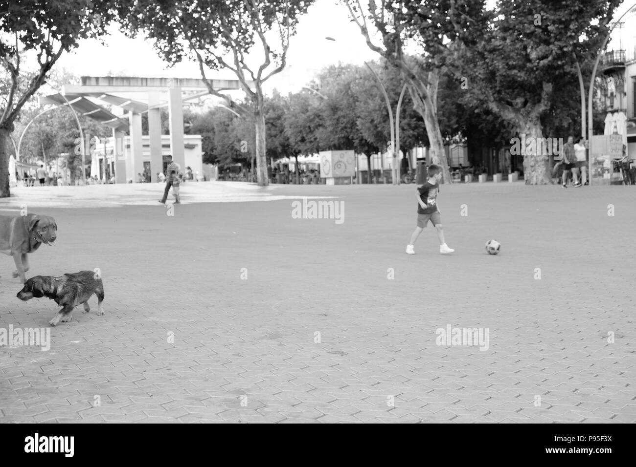 Jungen Fußball spielen in den park Stockfoto