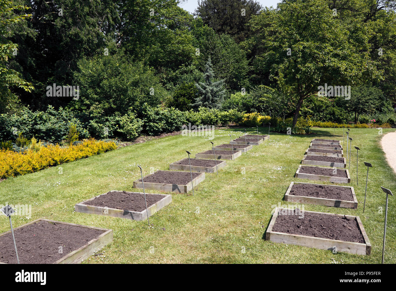 Vorbereitete versuch Betten an der RHS Wisley Stockfoto