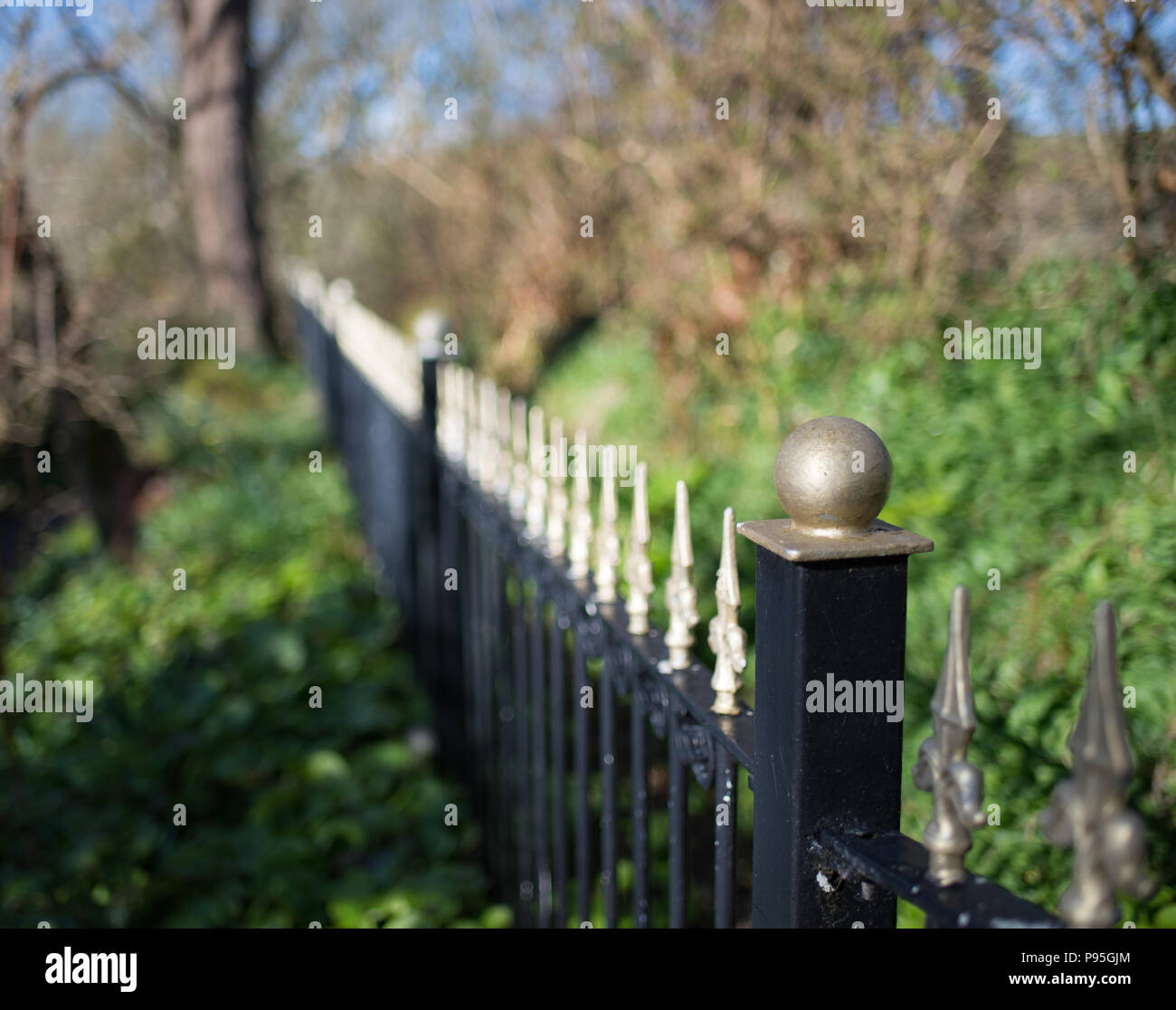 Schwarzen Eisenzaun mit gold Kreuzblumen Stockfoto