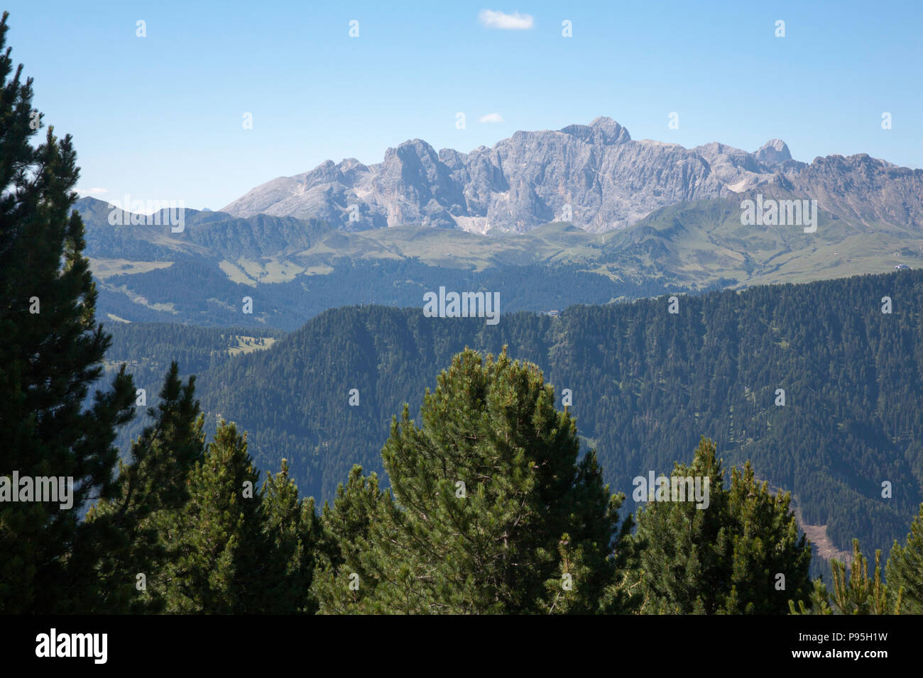 Die Rosengarten Gruppe und Naturpark Schlern - Rosengarten Von der Raschötz über dem Val Gardena Sommer Dolomiten Italien Stockfoto