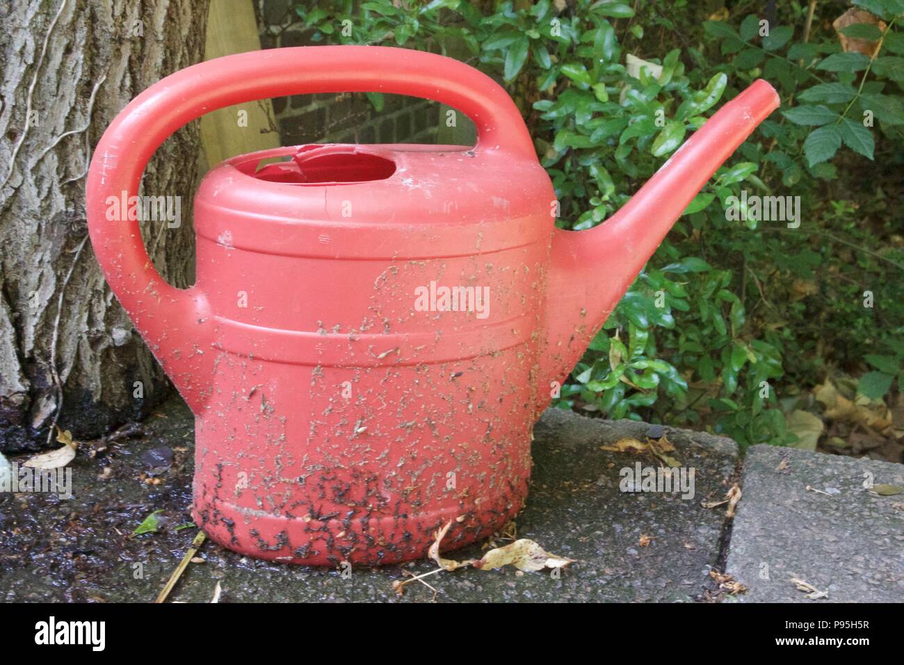 Ein rotes, verwitterte, schmutzige Gießkanne im Garten sitzen Stockfoto