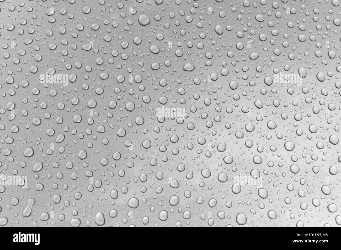 Ein Monochrom- (Schwarzweiß-) Bild von Regentropfen auf ein Auto mit Silber Metallic Lackierung Stockfoto
