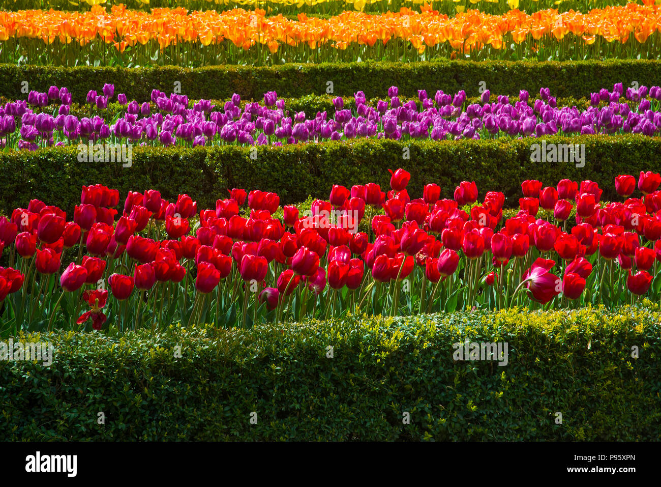 Madrid Botanischer Garten Stockfotos und bilder Kaufen Alamy