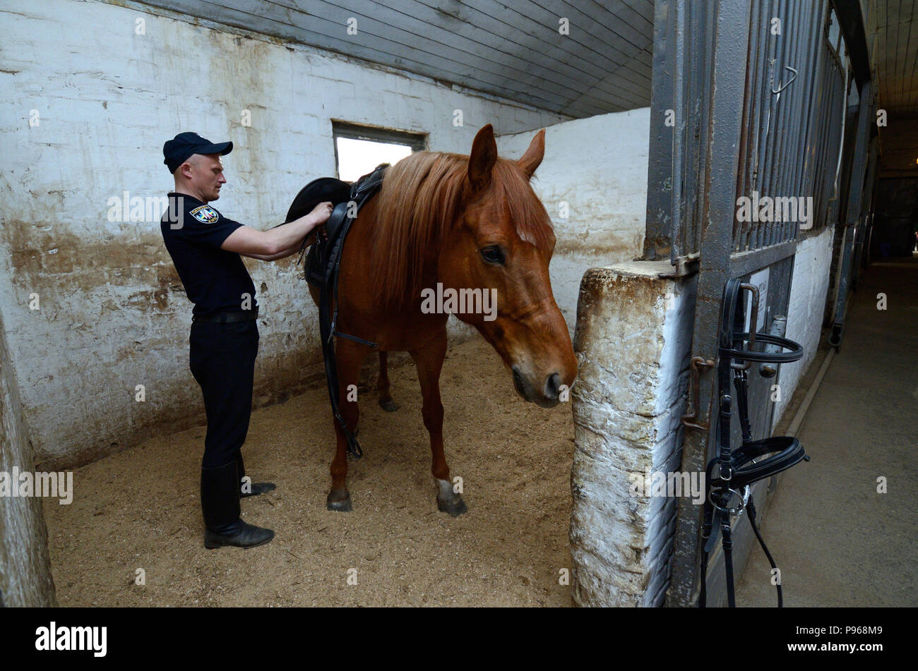 Am stabil. Polizist bereitet ein Pferd für Gehen an einem paddock Inverkehrbringen Sattlerei auf dem Rücken. Juni 12, 2018. Kiew, Ukraine Stockfoto