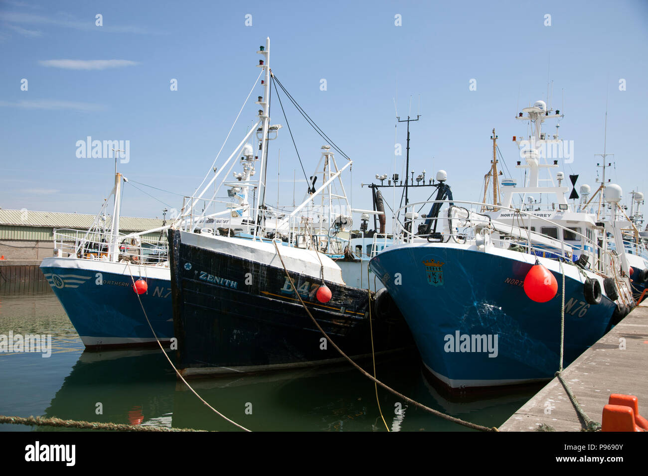 Fischtrawler in Kilkeel Hafen Stockfoto