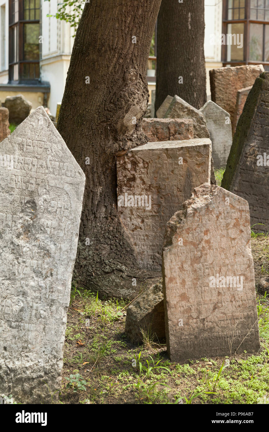 Jüdische Friedhof, das jüdische Viertel, Prag, einen Baum verschmilzt mit einem Grabstein während des Wachstums Stockfoto