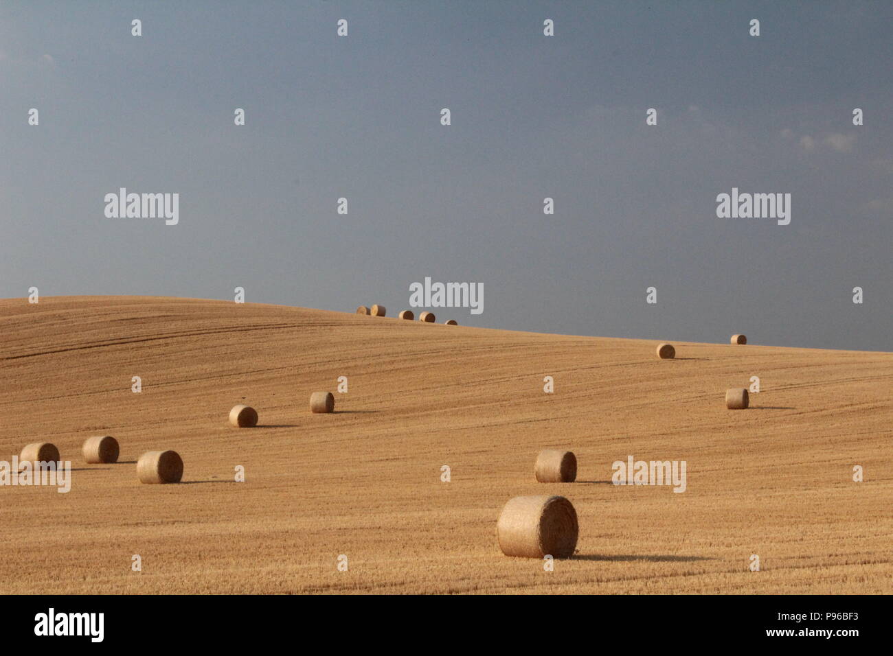 Stroh runde Heuballen in Feld mit blauem Himmel Stockfoto