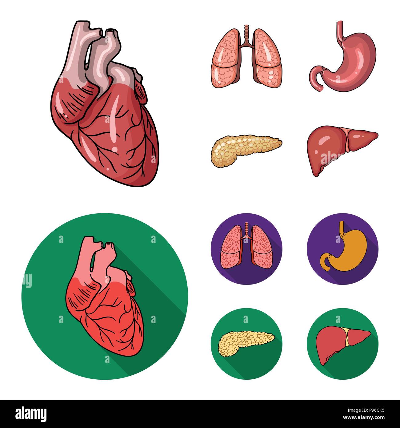 Herz, Lunge, Magen, Bauchspeicheldrüse. Menschliche Organe Sammlung Icons im Cartoon, flacher Stil vektor Symbol lieferbar Abbildung. Stock Vektor