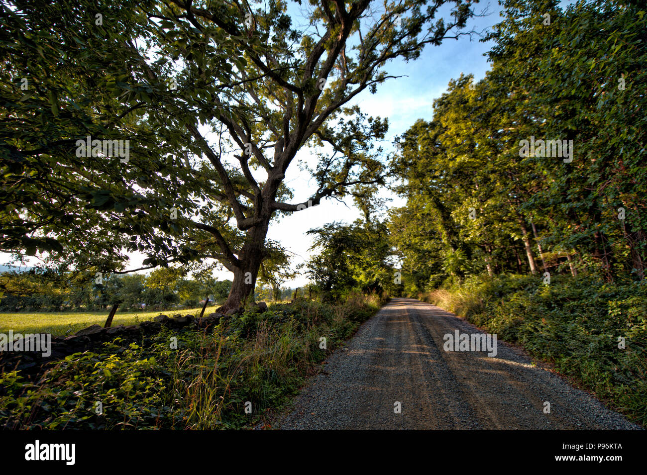 UNITED STATES - Juli 3, 2017: der westlichen Loudoun historischen Feldweg als Ebenezer Church Road bekannt, außerhalb des Dorfes von Bloomfield. Viele der r Stockfoto