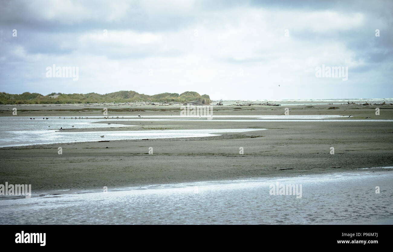 Querformat Wattenmeer an Kuku Beach Mündung, South Manawatu, Manawatu, Neuseeland Stockfoto