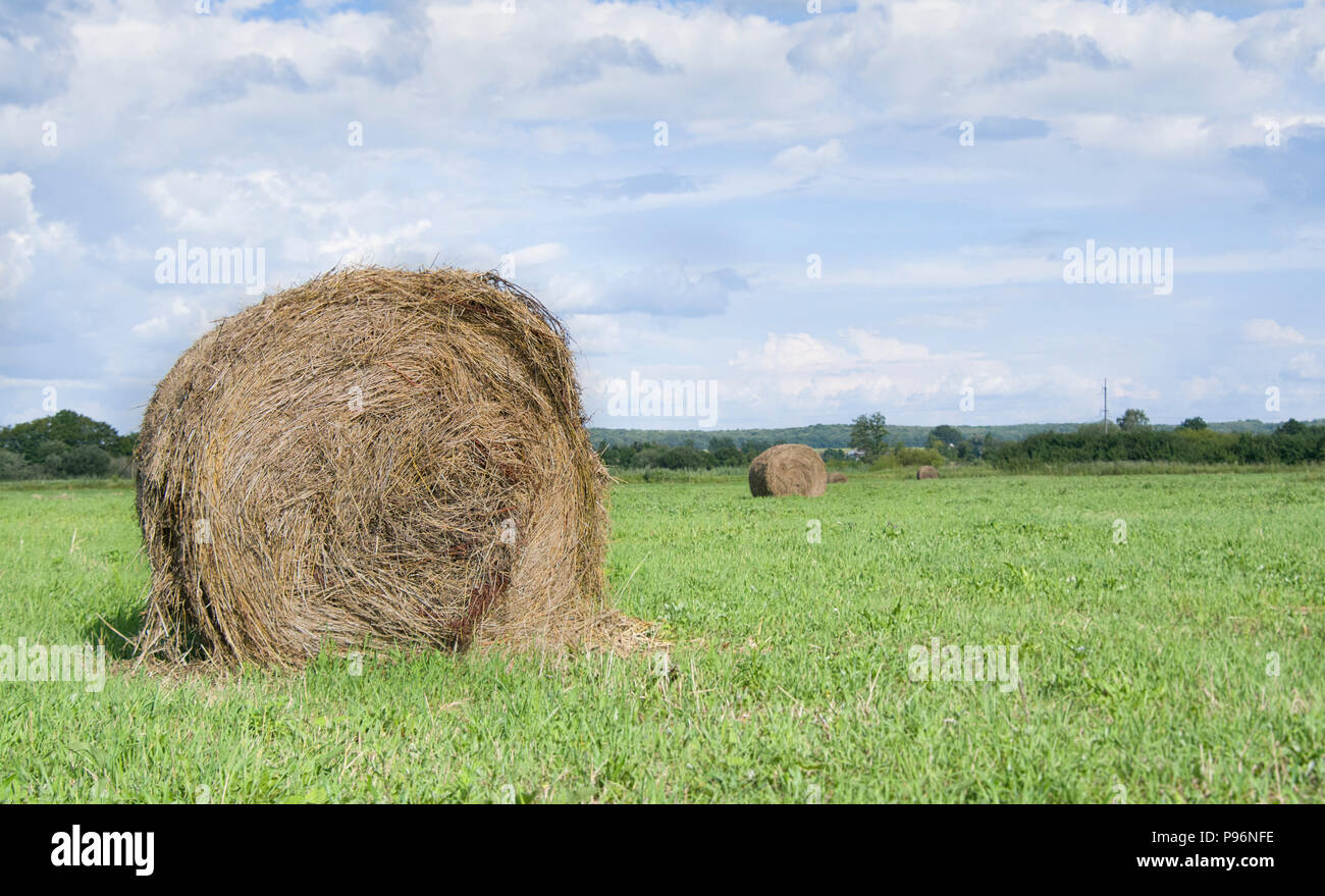 Feld mit Strohballen nach der Ernte auf einem Hintergrund bewölkter Himmel Stockfoto