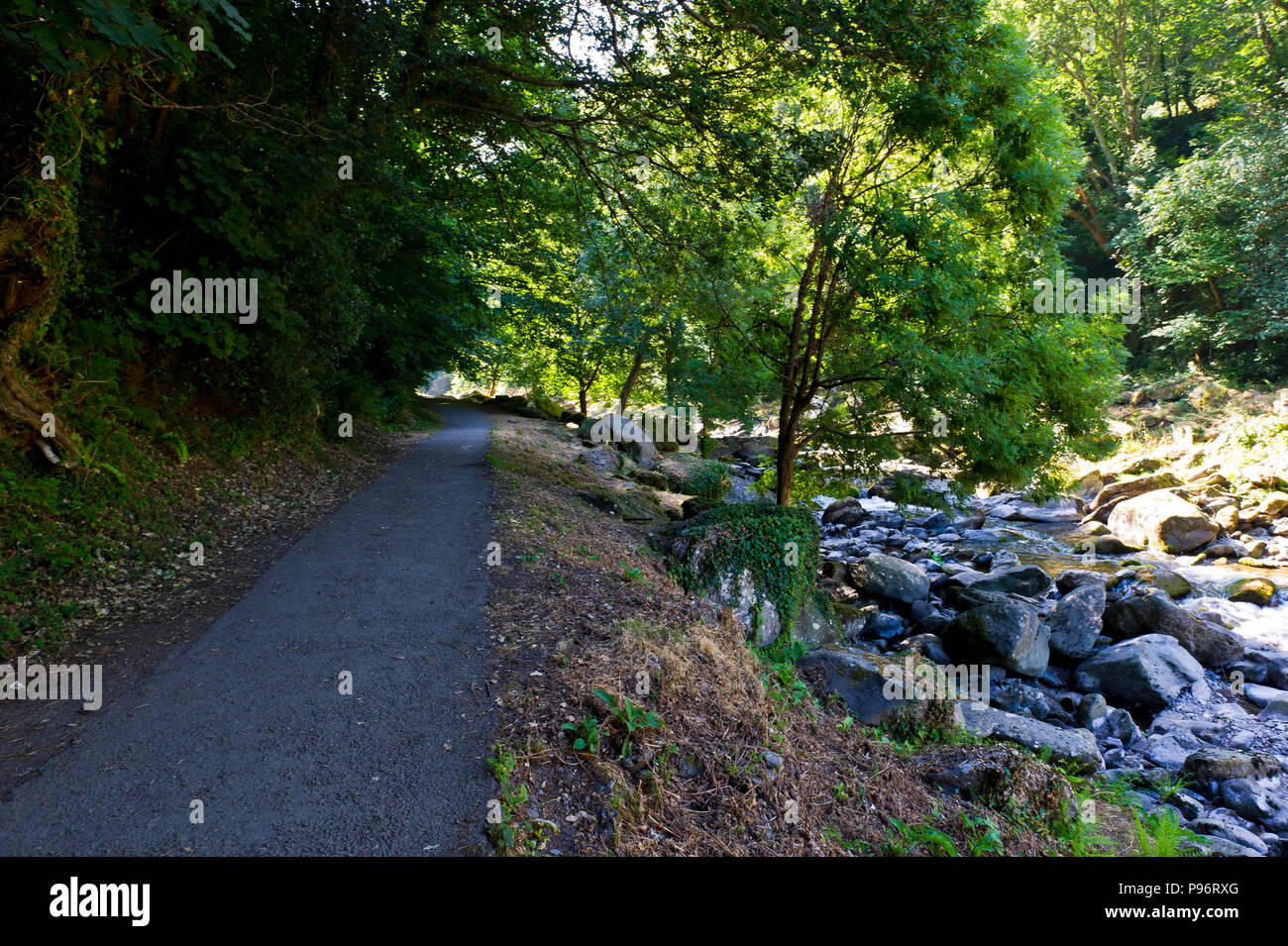 Exmoor, Osten Flusses Lyn, Lynton, Devon Stockfoto