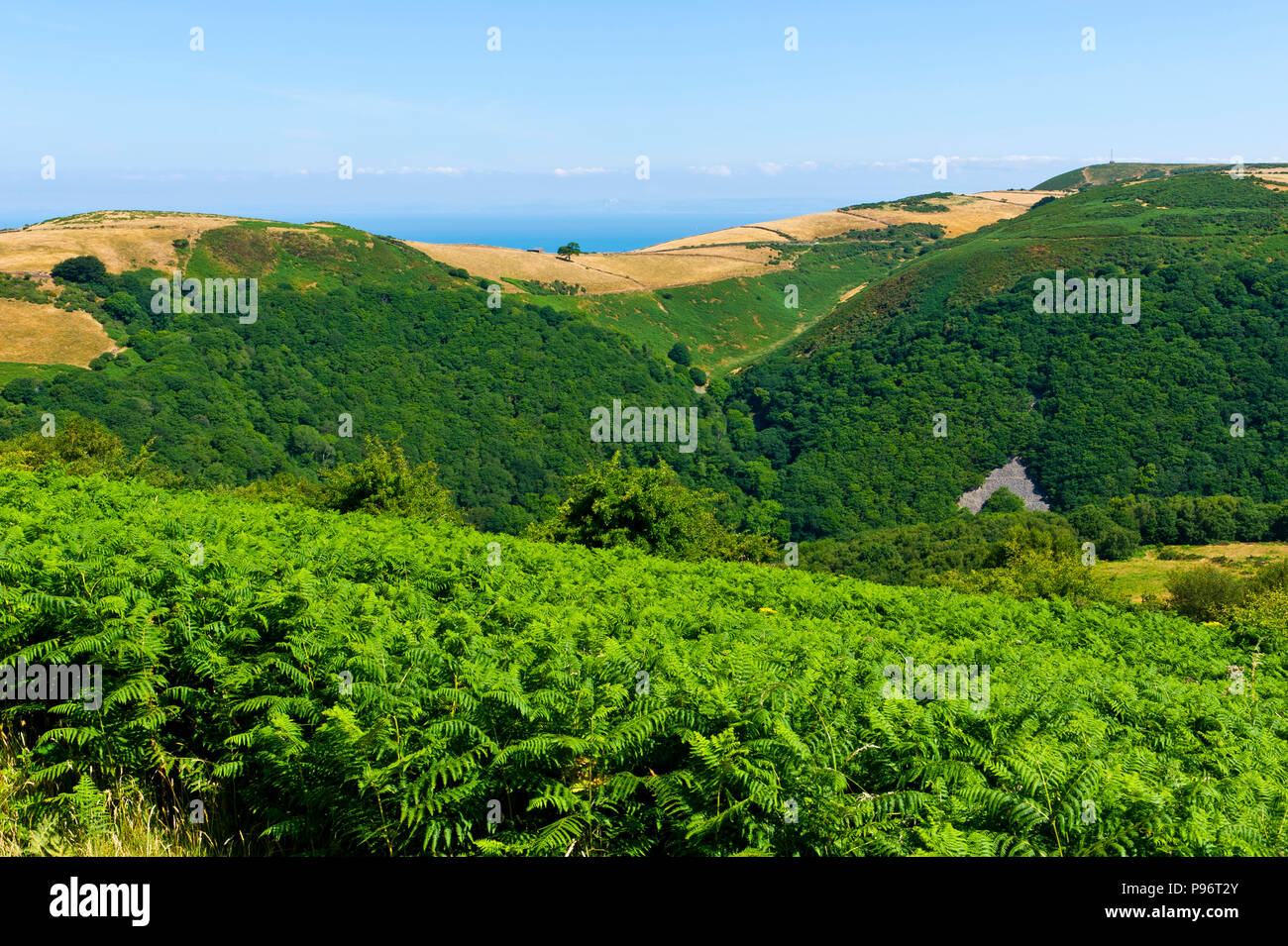 Exmoor, Osten Flusses Lyn, Lynton, Devon Stockfoto