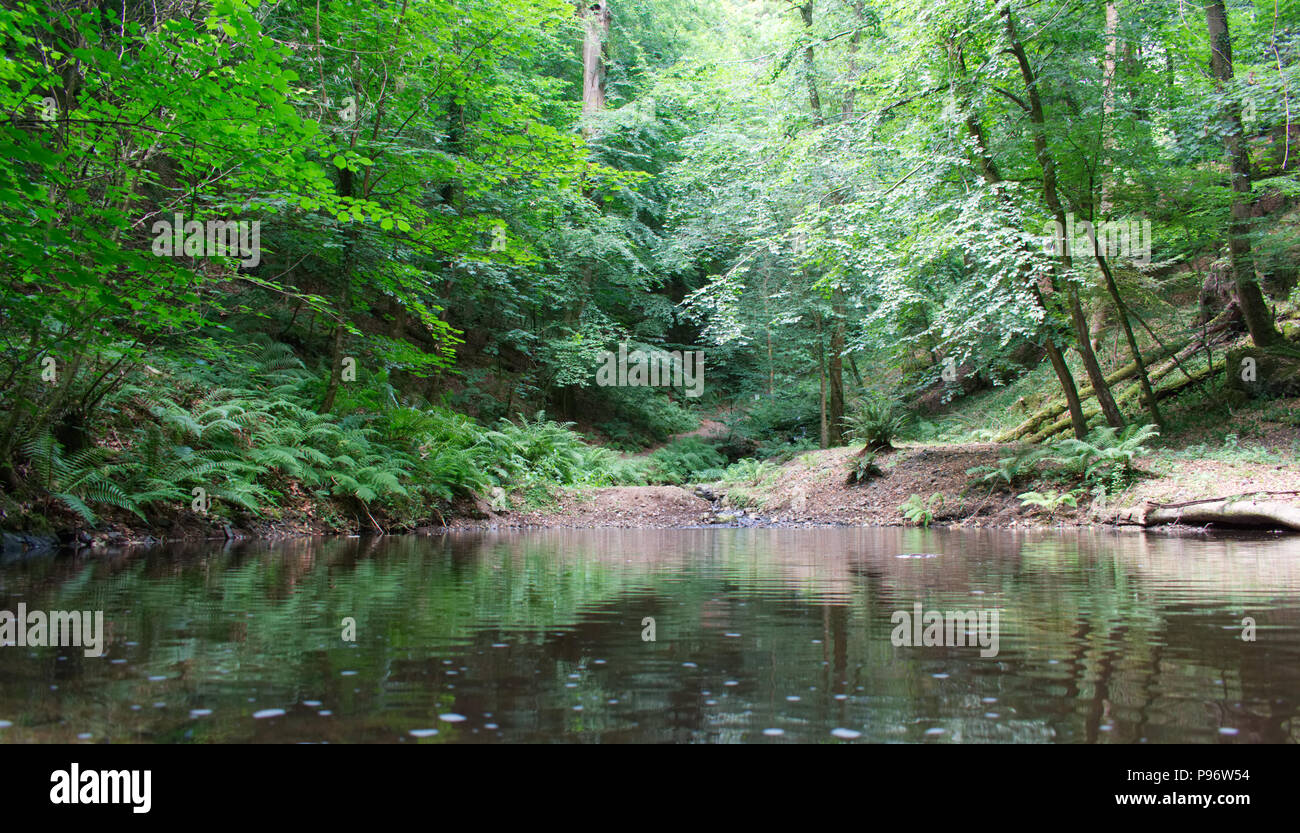 Canonteign Wasserfälle und Seen, Teign Valley, Devon, England Großbritannien Stockfoto