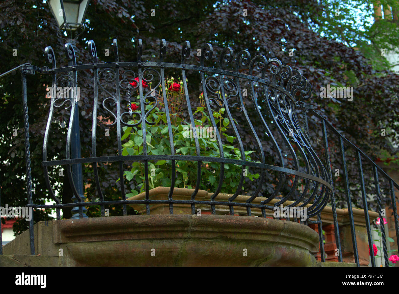 Garten hinter einem Zaun Stockfoto