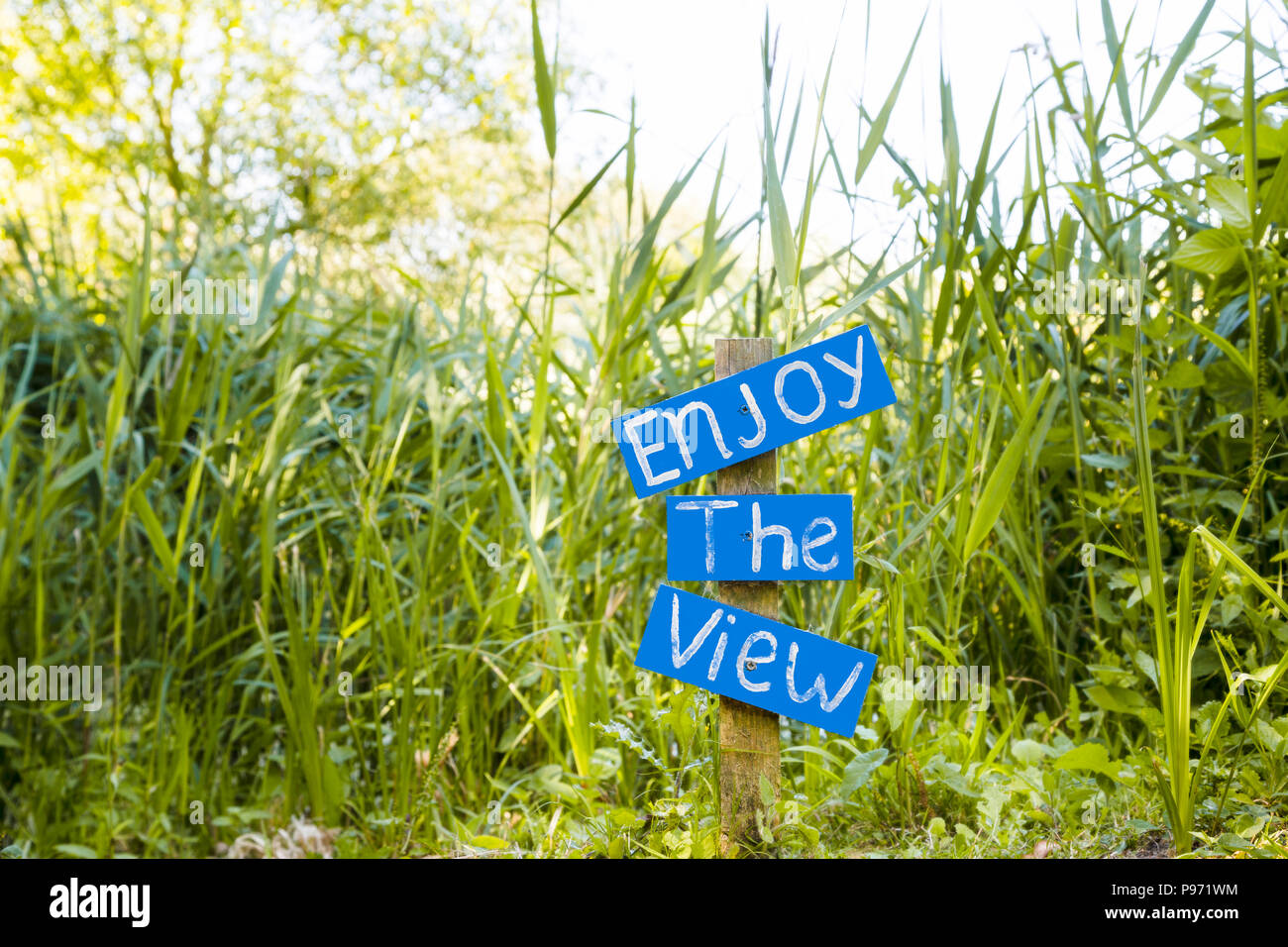 Genießen Sie die Ansicht 'Holz- blaue Schild von einer üppigen Vegetation im Naturschutzgebiet in Großbritannien umgeben, Europa Stockfoto