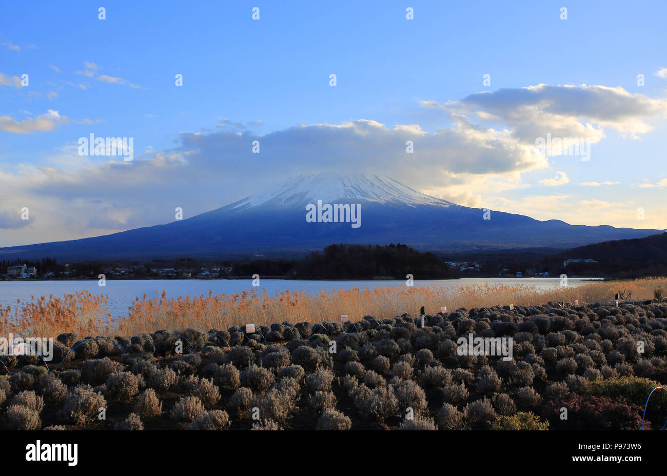 Blick auf den Fuji Berg Stockfoto