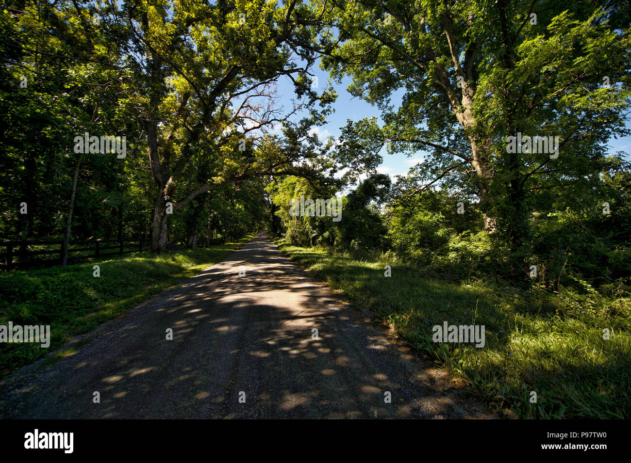 UNITED STATES - Juli 7, 2018: der westlichen Loudoun historischen Feldweg als Willisville Straße außerhalb des Dorfes von Bloomfield. Viele der Schmutz ro Stockfoto