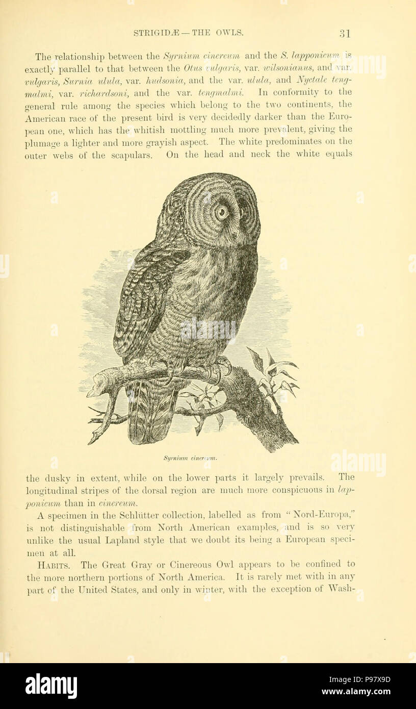Eine Geschichte der nordamerikanische Vögel. Stockfoto